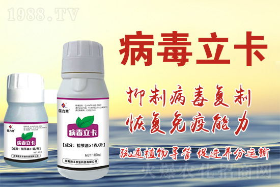 破解植物病毒防治難題！快速恢復(fù)生機(jī)！這個(gè)藥打上就管用！