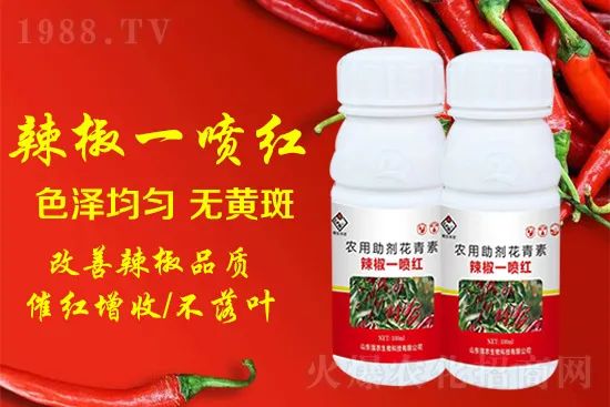 辣椒催紅增收專利產(chǎn)品！自然增紅零激素，色澤勻無黃斑