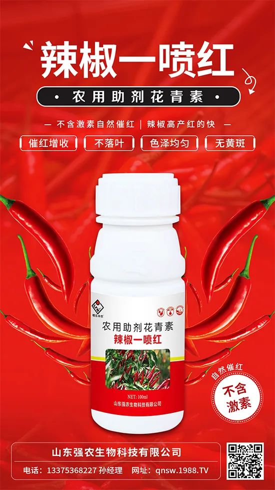 辣椒催紅增收專利產(chǎn)品！自然增紅零激素，色澤勻無黃斑