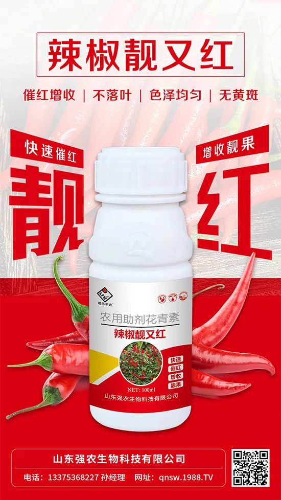 辣椒催紅增收專利產(chǎn)品！自然增紅零激素，色澤勻無黃斑