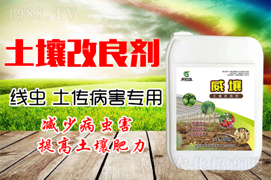 222������Y(ji��)���x��������������������һ�з�������