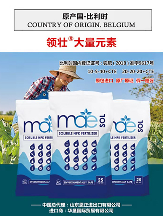 交500頂2000，高端進(jìn)口肥“性價(jià)比霸主”