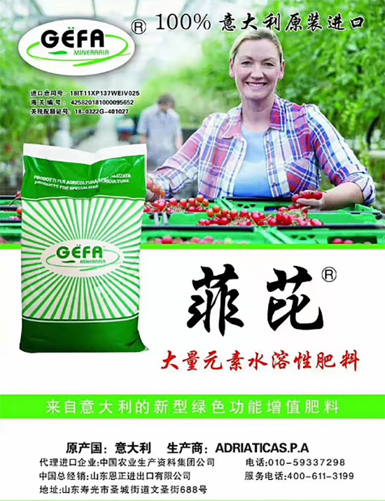 交500頂2000，高端進(jìn)口肥“性價(jià)比霸主”