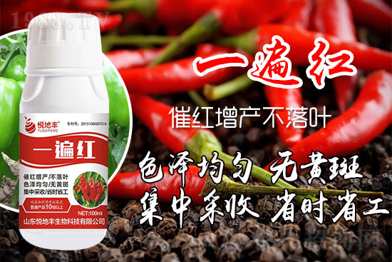 辣椒為什么要增紅?辣椒增紅上色哪個(gè)牌子好?