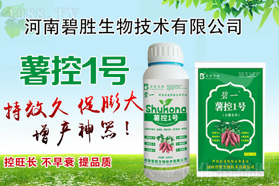 紅薯如何控旺？紅薯控旺有哪些措施？控旺產(chǎn)品怎么選？