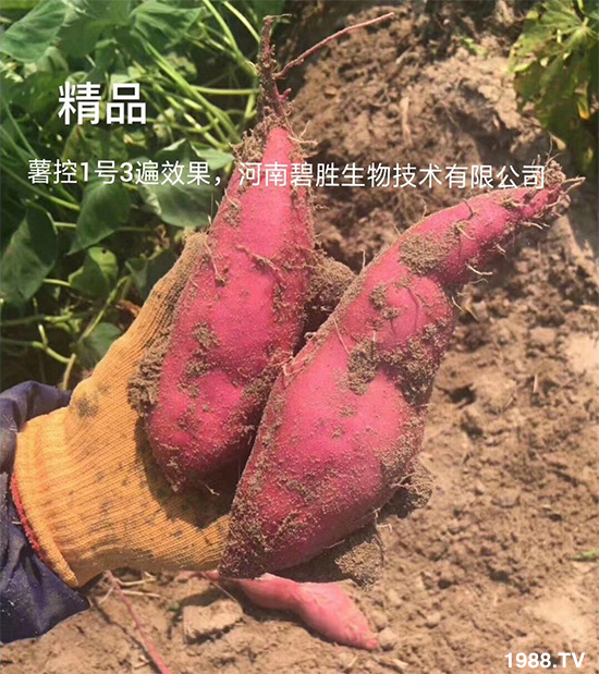     功能特點(diǎn)：