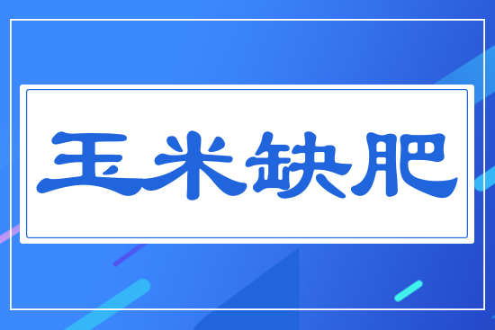 ����ȱ��