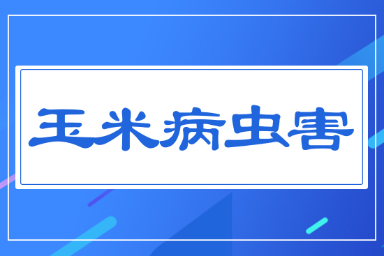 �������ڲ��x(ch��ng)��