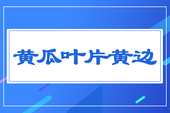 黃瓜葉片黃邊