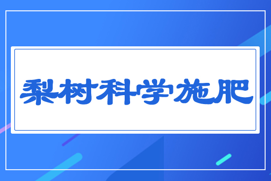 ���ƌW(xu��)ʩ��