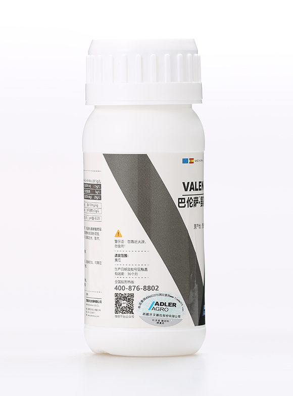 �͂��_���������6