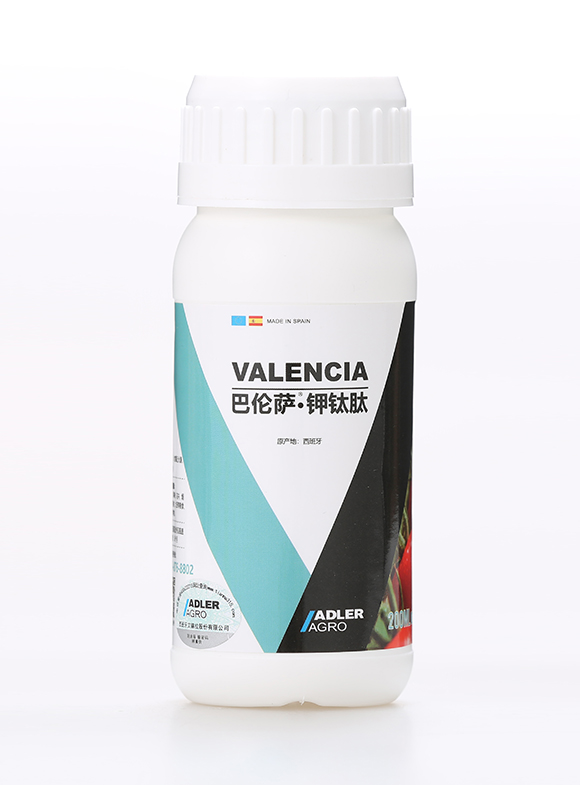 �͂��_������4