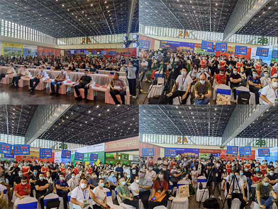 �ڶ�ʮ����ԭ�r(n��ng)�Y�p����(hu��)3