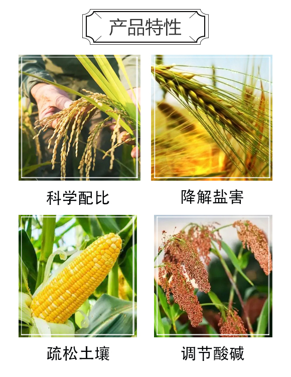 戰(zhàn)鹽-國(guó)亨肥業(yè)_03