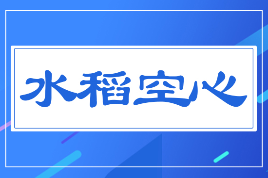 水稻空心