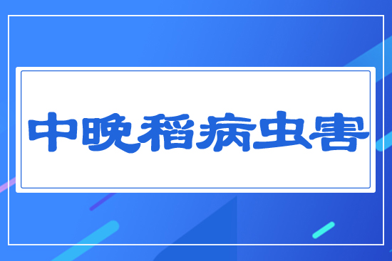 ���������x(ch��ng)��