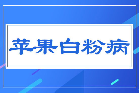 �O(p��ng)���׷۲�