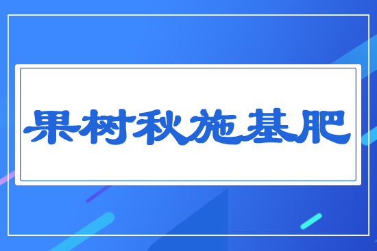 ������ʩ����