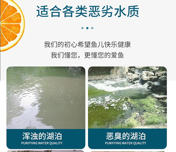 潤派底改凈水劑-潤派生物_03