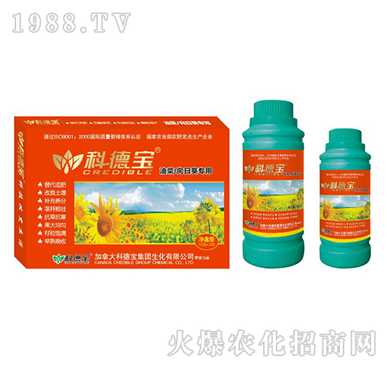 �Ͳ������տ����àI�B(y��ng)���a�{�턩-�Ƶ�