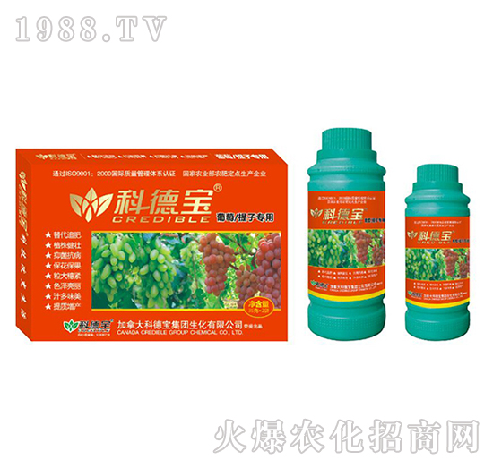 ���������ӌ��àI�B(y��ng)���a�{�턩-�Ƶ�