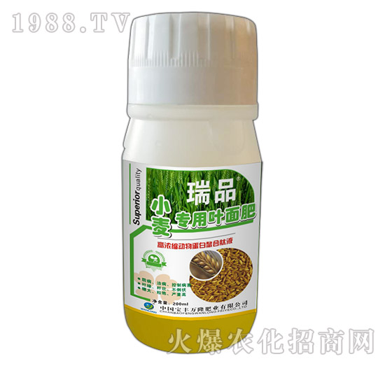 小麥專用葉面肥-瑞品-豐萬隆