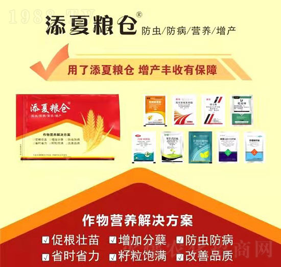 作物營(yíng)養(yǎng)解決方案-添夏糧倉(cāng)-豐收樂