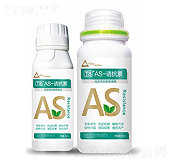 T8��AS-�T����-�����Ƽ�