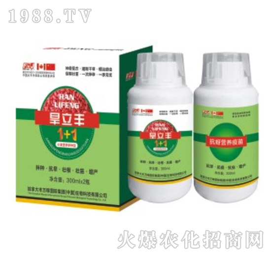 �����SС����N��-�S�f��