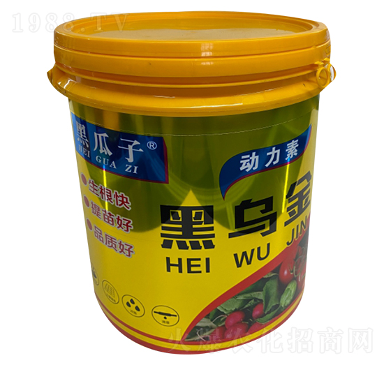 黑烏金-黑瓜子-新稻香村