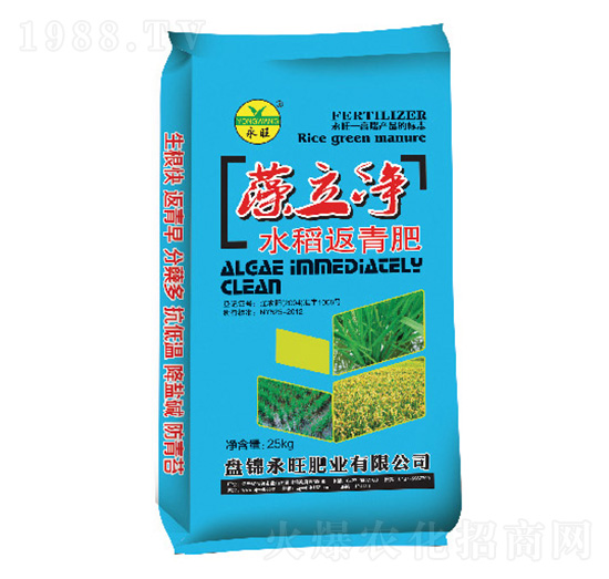 水稻返青肥-藻立凈-永旺肥業(yè)