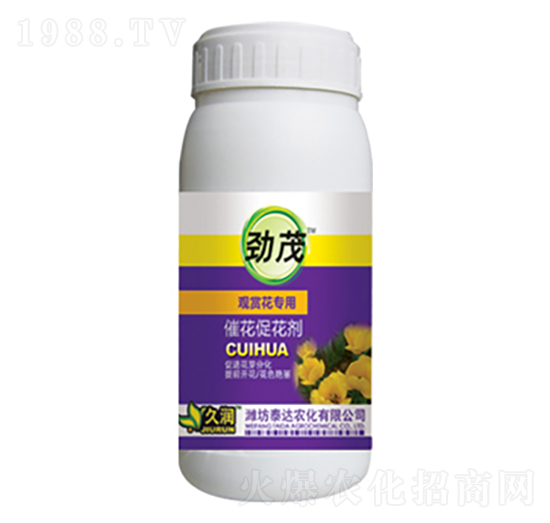 �߻��ٻ���-̩�_�r��