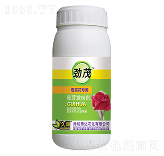 �^�p������-��ѿ�l(f��)֦��-̩�_(d��)�r(n��ng)��