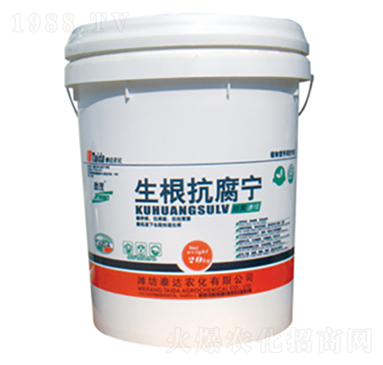 ����������-���S�پG-̩�_(d��)�r(n��ng)��