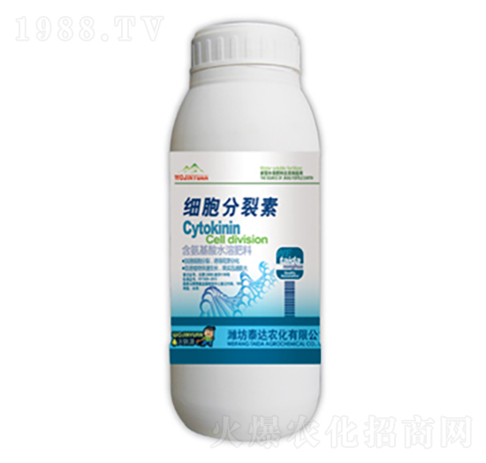 ����������-̩�_�r��