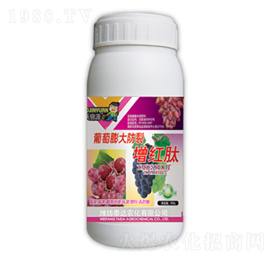 �������������t��-̩�_�r(n��ng)��