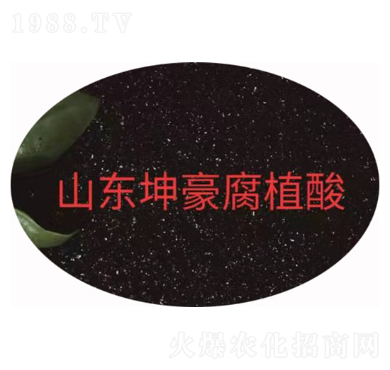小片55% 坤豪