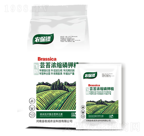 蕓苔濃縮磷鉀精-農(nóng)保鏢-金收成