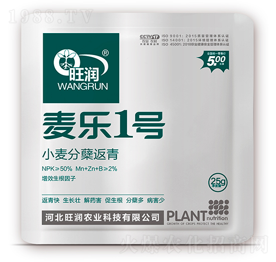 小麥分蘗返青-麥樂(lè)1號(hào)-旺潤(rùn)農(nóng)業(yè)