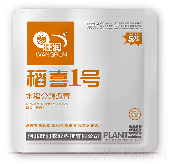 水稻分蘗返青-稻喜1號(hào)-旺潤(rùn)農(nóng)業(yè)