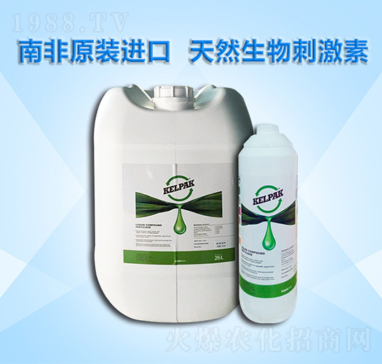 開(kāi)普-農(nóng)巧施