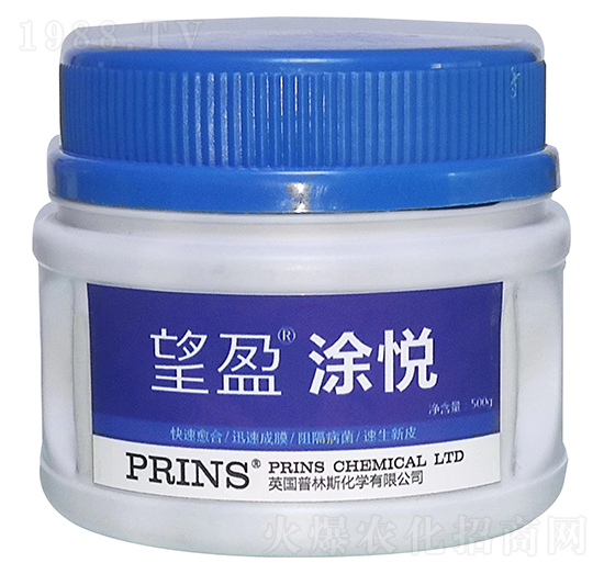 望盈涂悅-英國普林斯