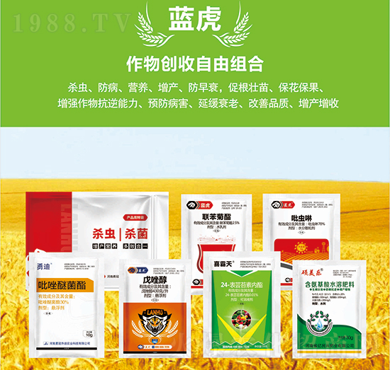 ���(chu��ng)�����ɽM��-�{��Ʒ��