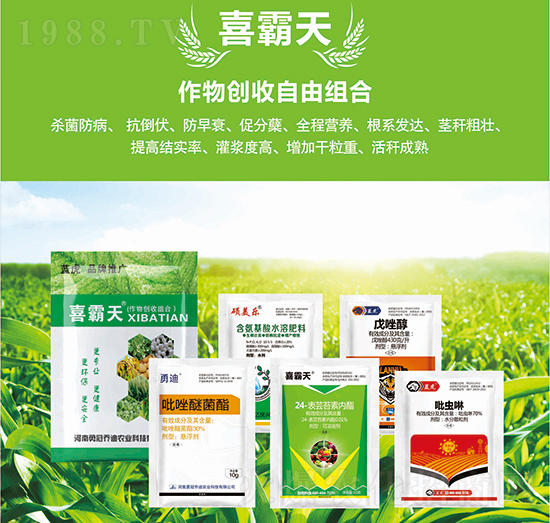 ���ׄ�(chu��ng)�����ɽM��-�{��Ʒ��