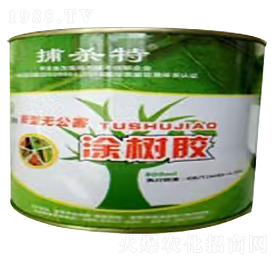 Ϳ���z-������-�f��