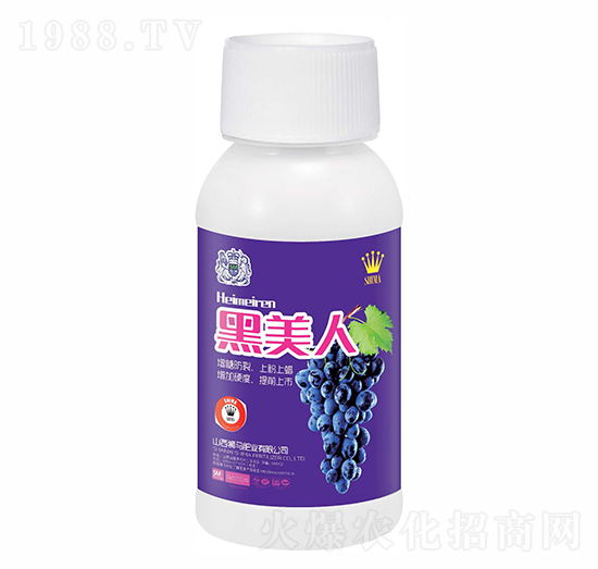 黑美人-獅馬肥業(yè)