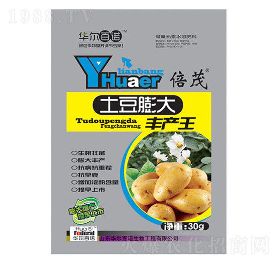 土豆膨大豐產(chǎn)王-華爾百諾