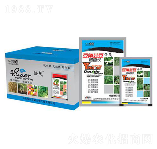 豆角蕓豆嫩直長(zhǎng)-華爾百諾