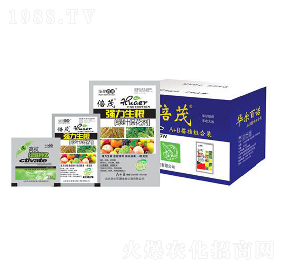 強力生根綠葉?；▌?華爾百諾