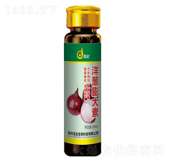 洋蔥膨大素-浩達(dá)生物